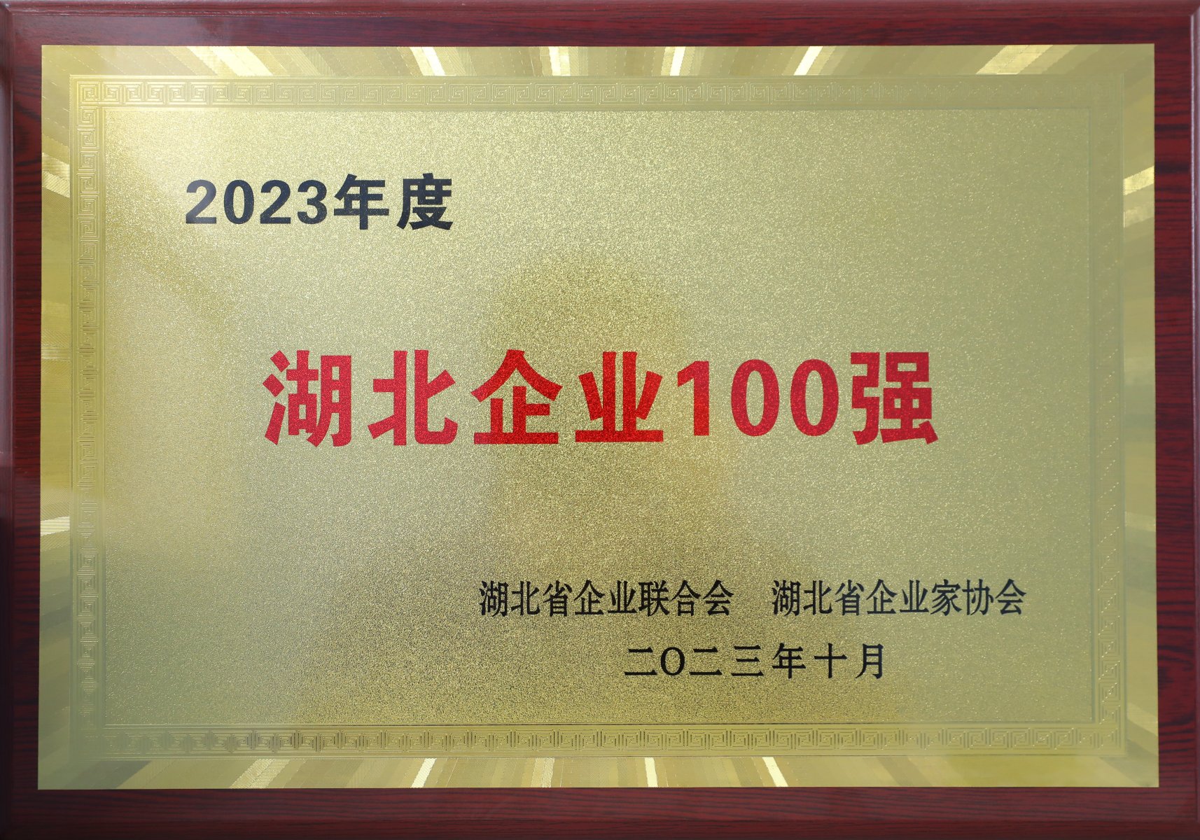 2023年度湖北省百强企业